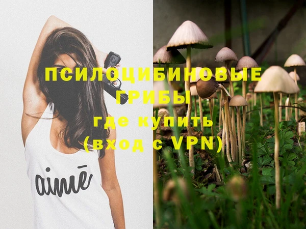Альфа ПВП Баксан
